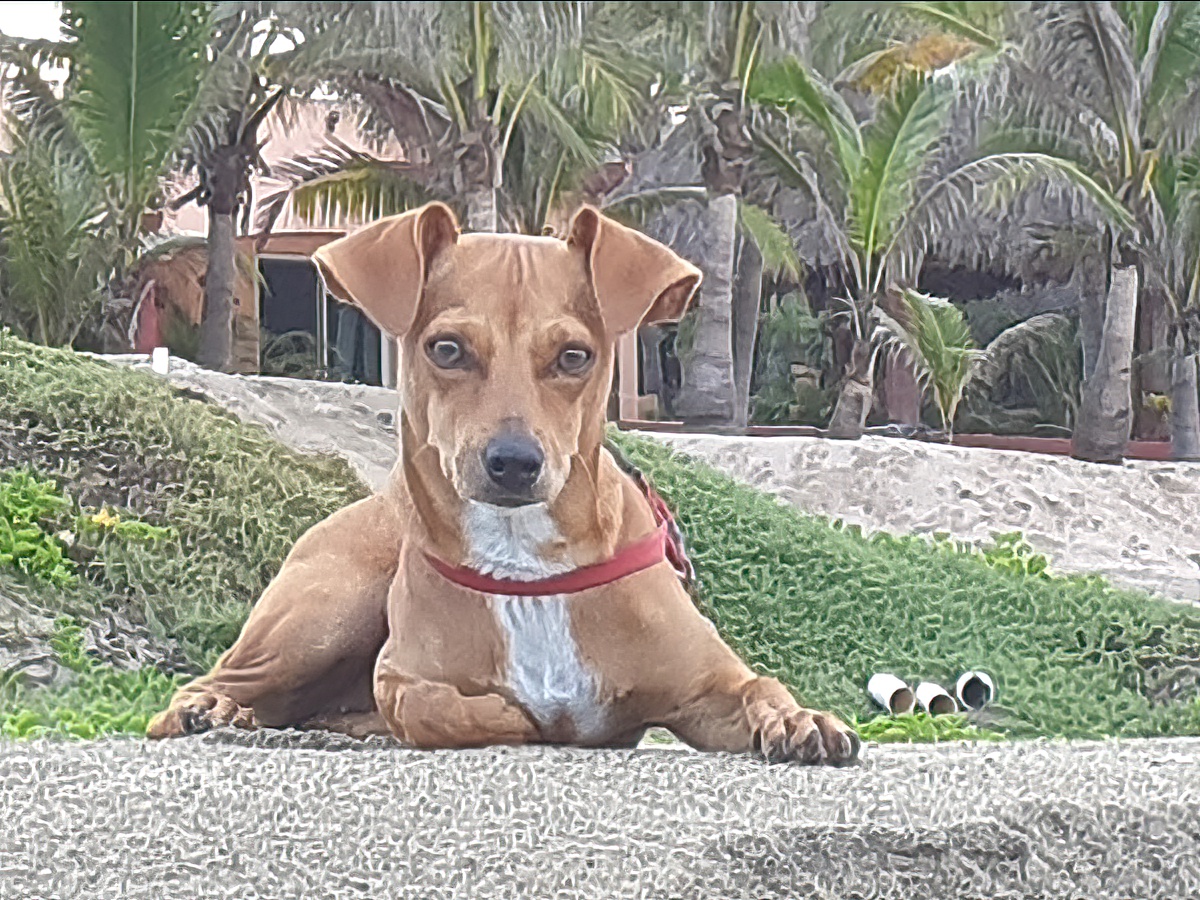 Villa Star of the Sea Turtles